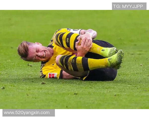 沙尔克04客场抢分多特蒙德遭遇逼平 沙尔克04客场抢分多特蒙德遭遇逼平