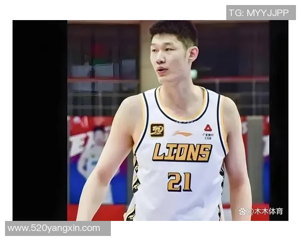 胡金秋:从青涩新星到篮球赛场的璀璨明星之路 胡金秋:从青涩新星到篮球赛场的璀璨明星之路